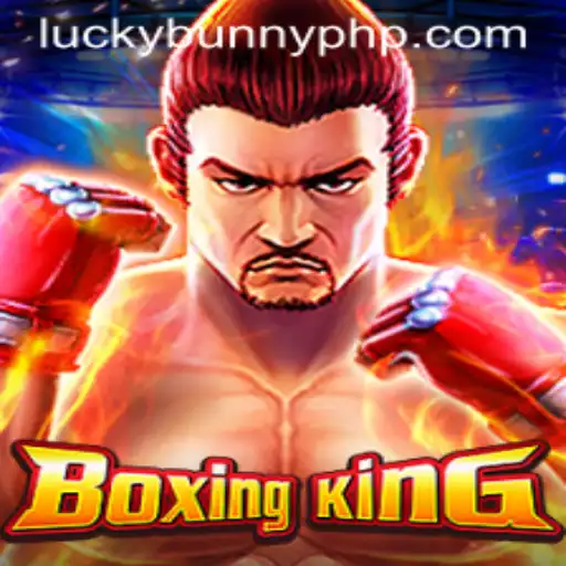 Exploring BoxingKing: The Champion of Strategy and Luck